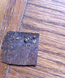 Bed Bug staining and eggs on piece of furniture, pest control essex