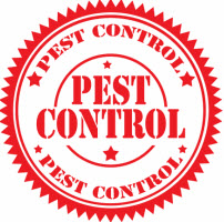 essex pest control